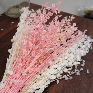 Dried flowers and plants，dried flower bouquet，dried flower