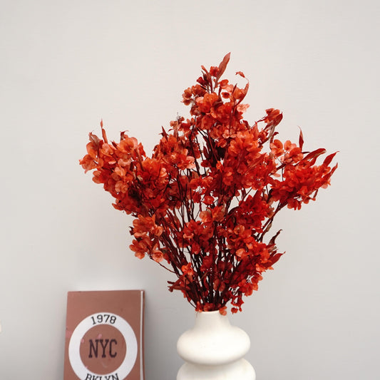 Dodonaea viscosa ，dried flower, materials, red color,home decor