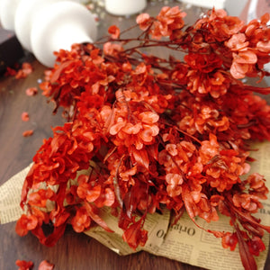 Dodonaea viscosa ，dried flower, materials, red color,home decor