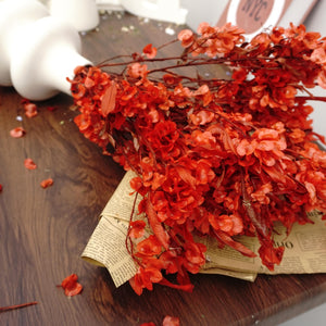 Dodonaea viscosa ，dried flower, materials, red color,home decor