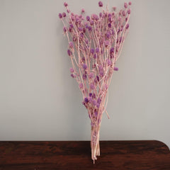 Loves fruits ,preserved flower