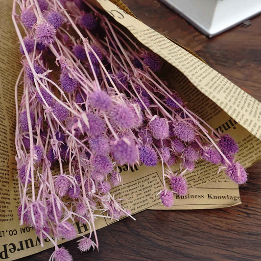 Preserved flower ,love s fruits