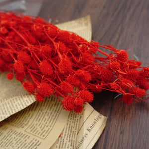 Preserved flower ,love s fruits