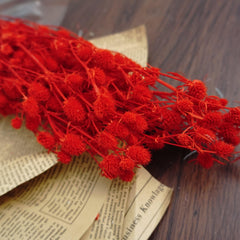 Preserved flower ,love s fruits