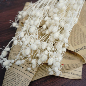 Preserved flower ,love s fruits
