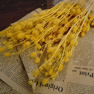 Preserved flower ,love s fruits