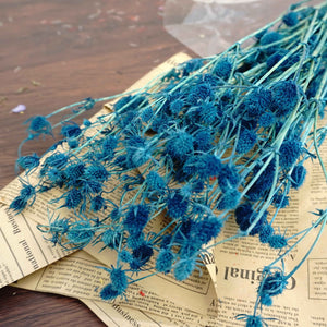 Preserved flower ,love s fruits