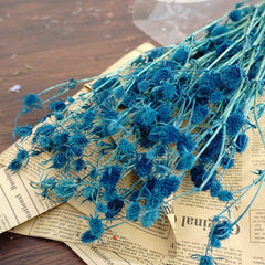 Preserved flower ,love s fruits