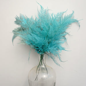 Preserved flwoer ,preserved fren leaves,preserved flower materials