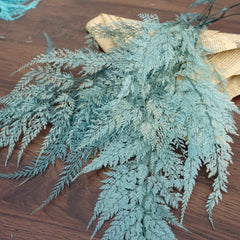 Preserved flwoer ,preserved fren leaves,preserved flower materials