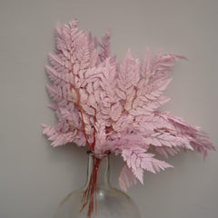 Preserved flwoer ,preserved fren leaves,preserved flower materials