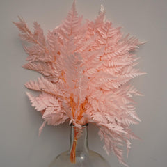 Preserved flwoer ,preserved fren leaves,preserved flower materials