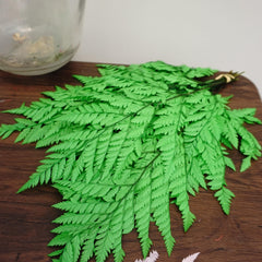 Preserved flwoer ,preserved fren leaves,preserved flower materials