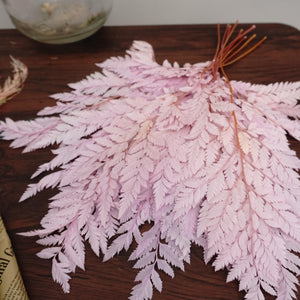 Preserved flwoer ,preserved fren leaves,preserved flower materials