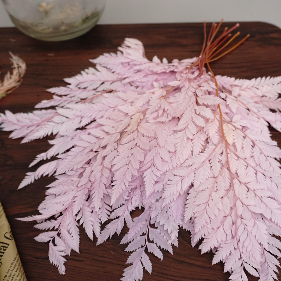 Preserved flwoer ,preserved fren leaves,preserved flower materials