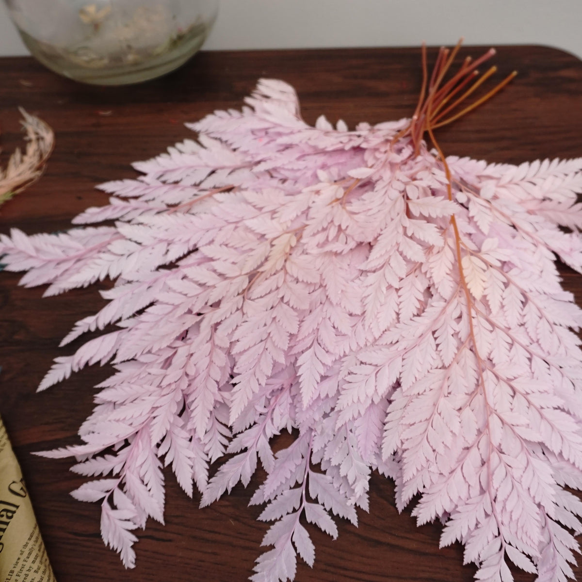 Preserved flwoer ,preserved fren leaves,preserved flower materials