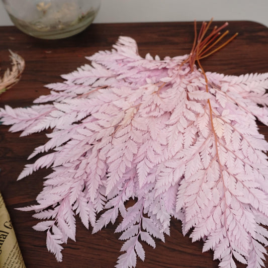 Preserved flwoer ,preserved fren leaves,preserved flower materials