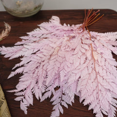 Preserved flwoer ,preserved fren leaves,preserved flower materials