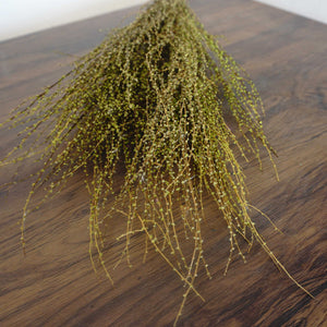 Dried flower,preserved flower,flower materials,home decor,wedding decor