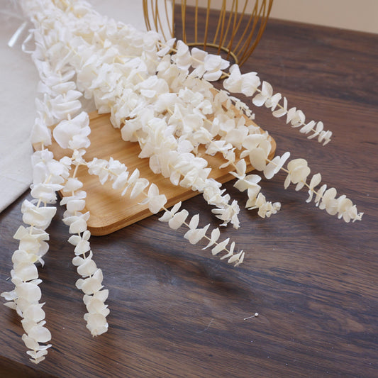 White color,eucalyptus ,preserved flowers,home decor