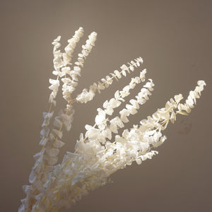 White color,eucalyptus ,preserved flowers,home decor