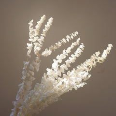 White color,eucalyptus ,preserved flowers,home decor