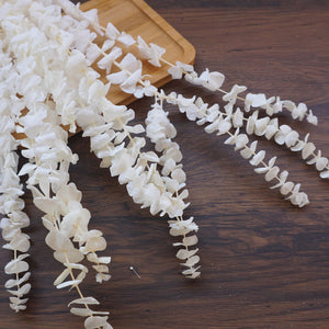 White color,eucalyptus ,preserved flowers,home decor