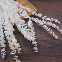 White color,eucalyptus ,preserved flowers,home decor