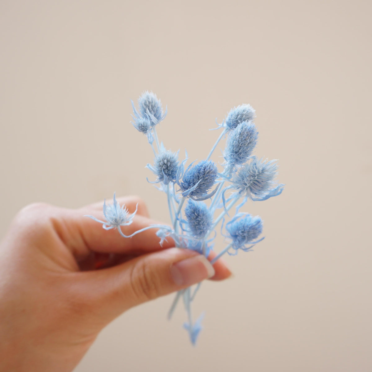 Preserved flower ,love s fruits