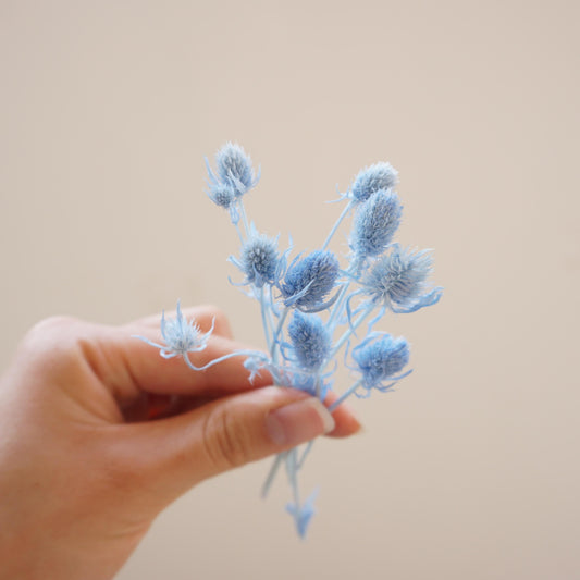 Preserved flower ,love s fruits