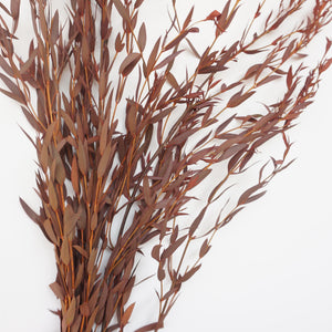 Burnt orange eucalyptus