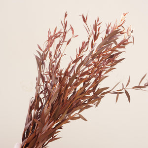 Burnt orange eucalyptus
