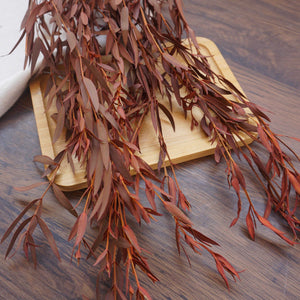 Burnt orange eucalyptus