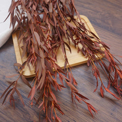 Burnt orange eucalyptus