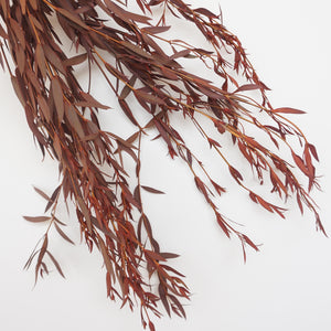 Burnt orange eucalyptus