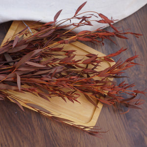 Burnt orange eucalyptus