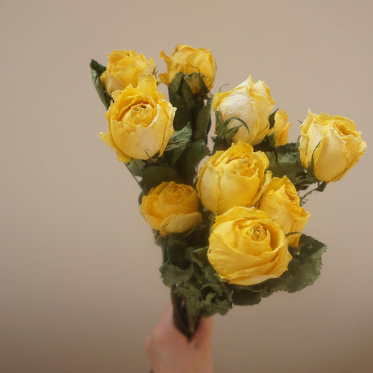 Yellow color dried rose