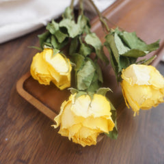 Yellow color dried rose
