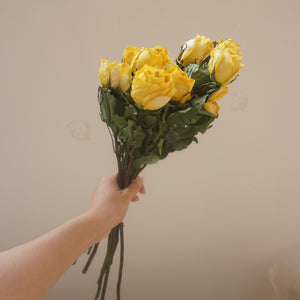 Yellow color dried rose