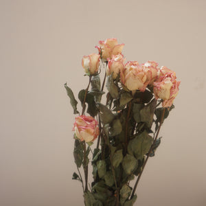 Dried rose