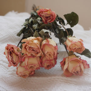 Dried rose