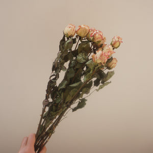 Dried rose