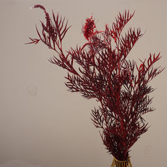 Red color preserved flower