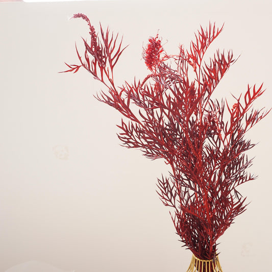 Red color preserved flower