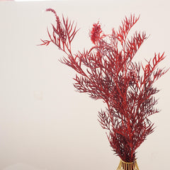 Red color preserved flower