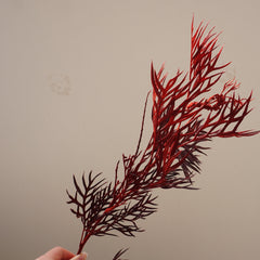 Red color preserved flower