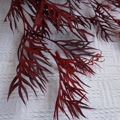 Red color preserved flower