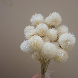 Strawberry fruit dried flower