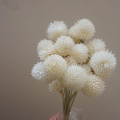 Strawberry fruit dried flower