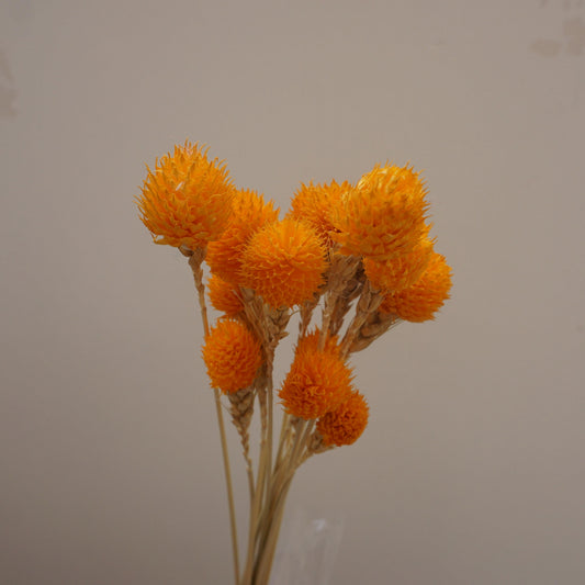 Strawberry fruit dried flower